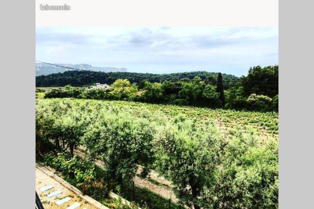 Dans Les Vignes De Apartment *